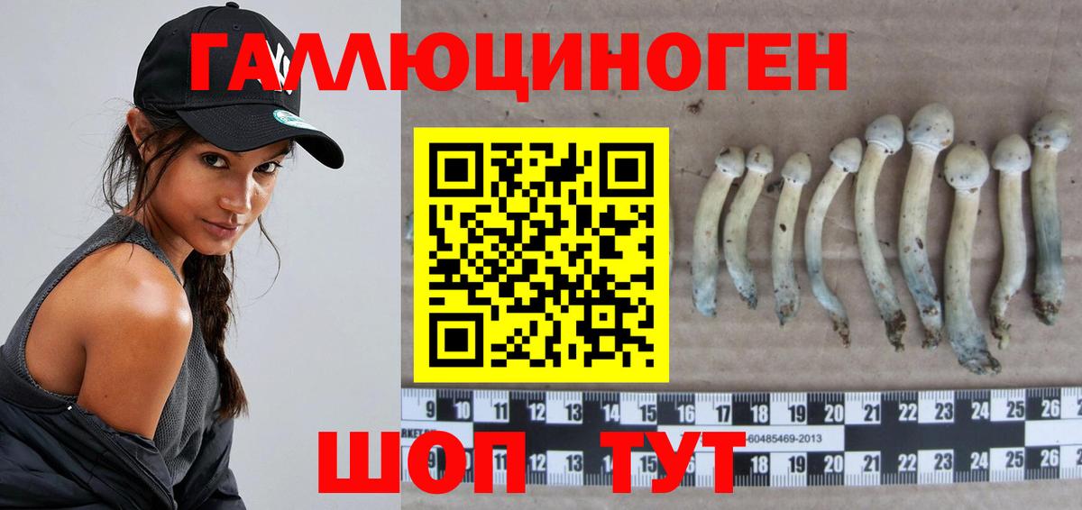 Галлюциногенные грибы GOLDEN TEACHER  Вход с VPN  Ейск  Псилоцибиновые грибы Cubensis 