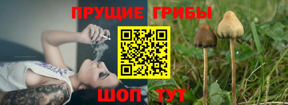 Галлюциногенные грибы GOLDEN TEACHER Ейск